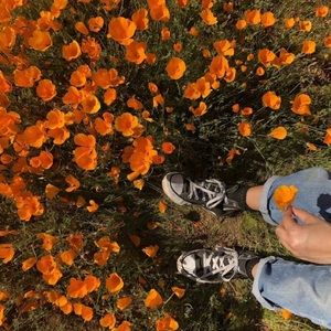 Meet your Posher, Joslyn